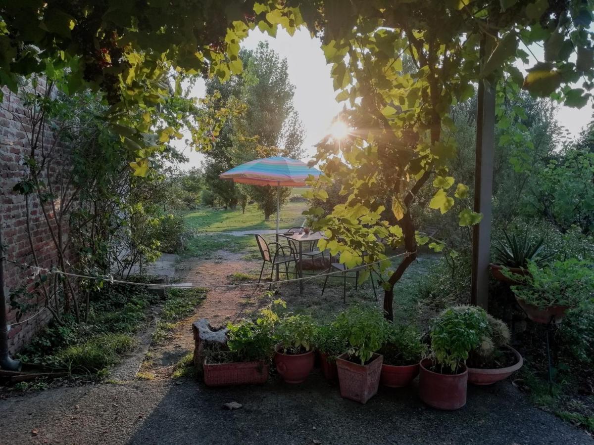 Bed and Breakfast Casa Del Geco Paestum Exteriér fotografie